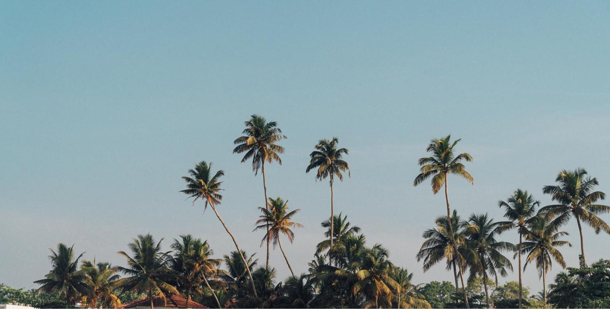Lucky'S Surf Camp Bed & Breakfast Weligama Exterior foto